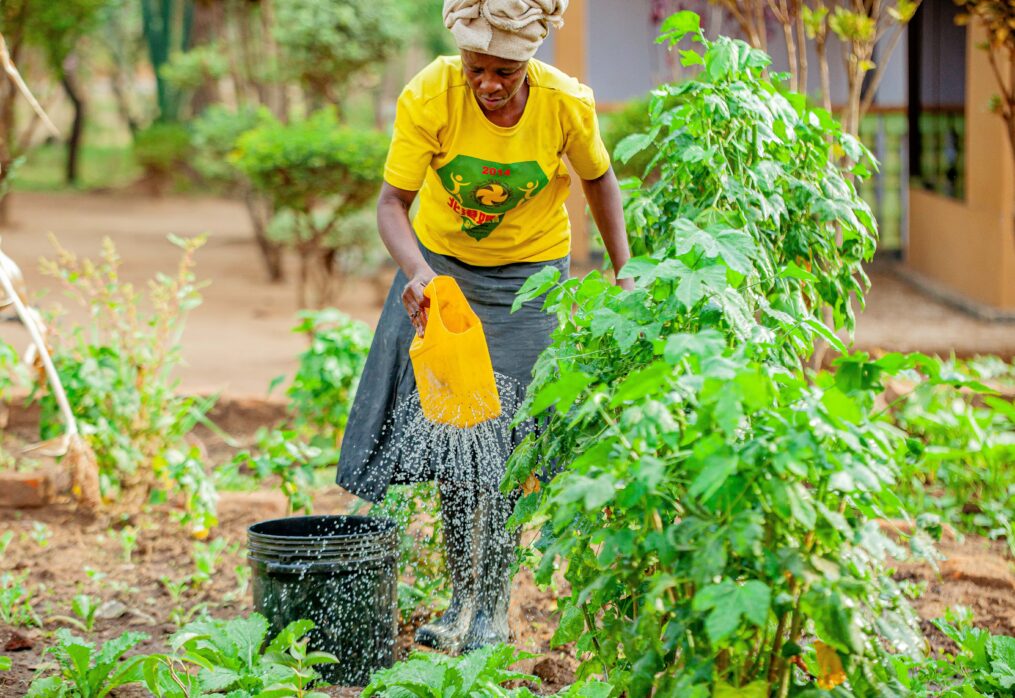 East Africa Experts issue Policy Blueprint to Scale Dryland Agroforestry